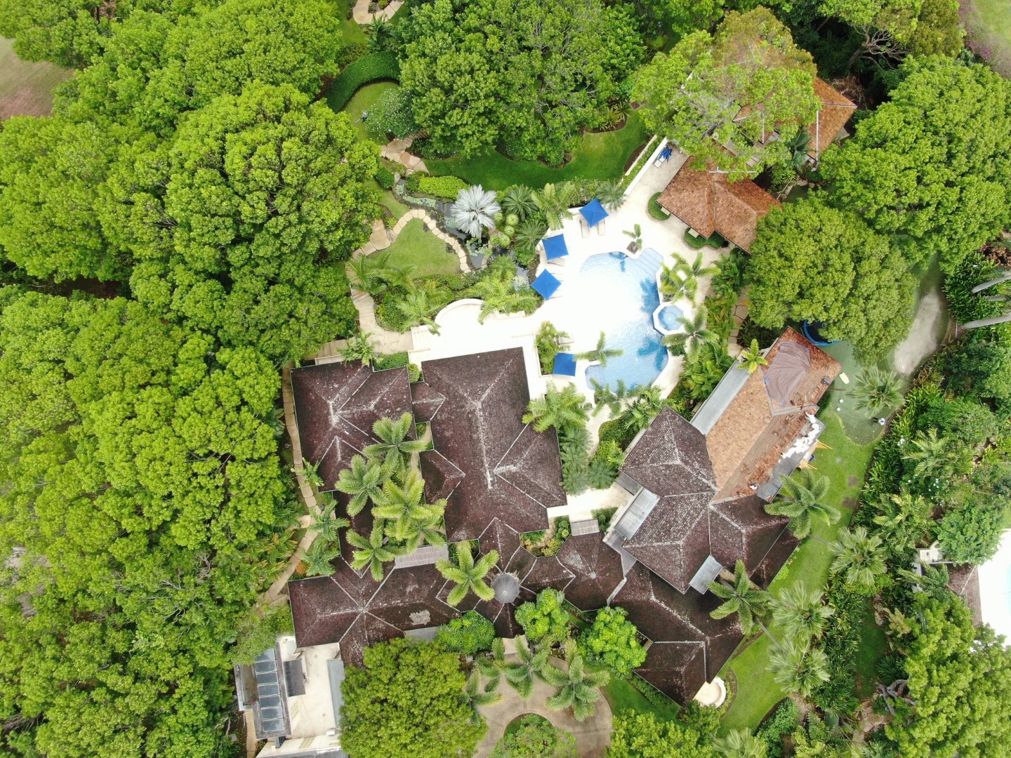 DJI_0036 (Large)