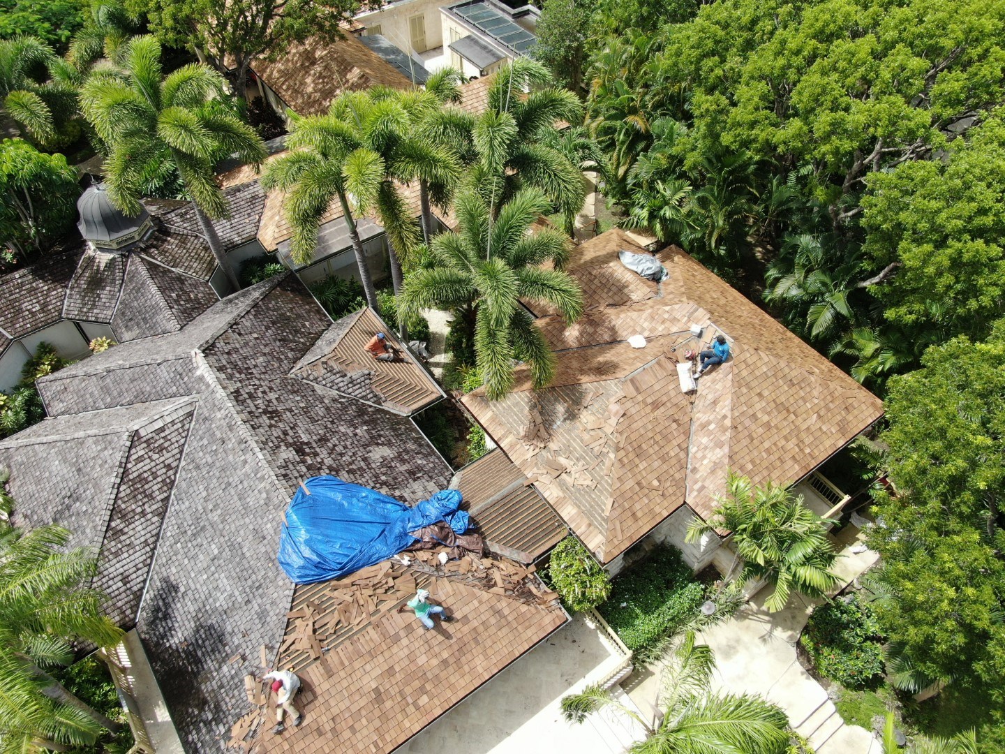 DJI_0072 (Large)