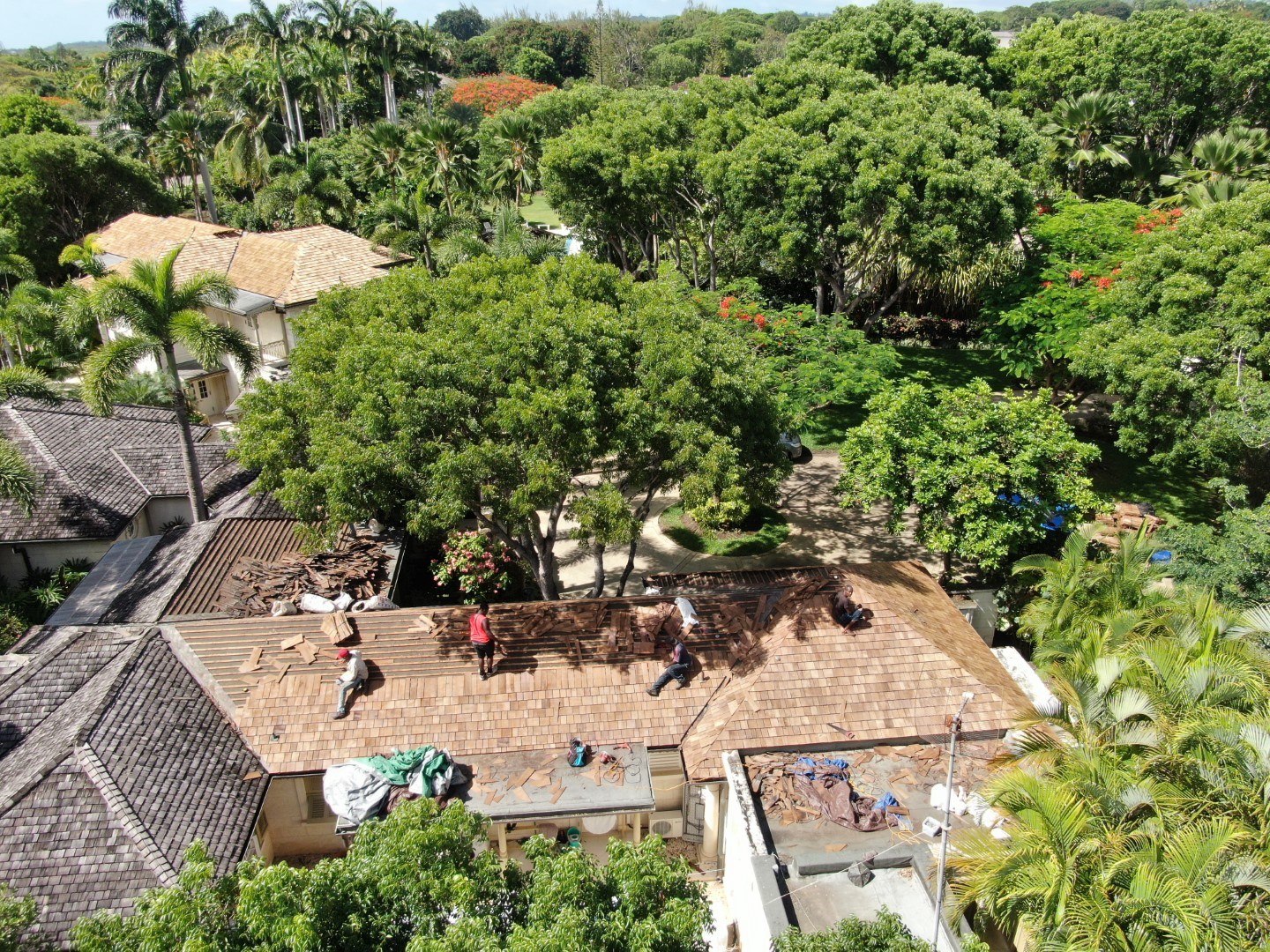 DJI_0049 (Large)