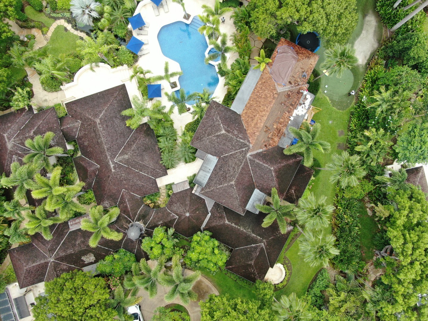 DJI_0032 (Large)